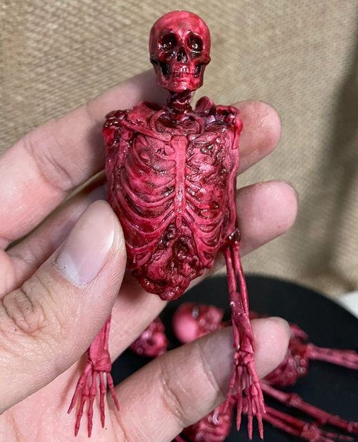 1/12 Scale Half-body Flesh Blood Skeleton Human Skeleton PVC Model